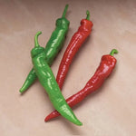 Cheyenne Hybrid Pepper Seeds Early Orange Hot Chili Peppers High Germination Garden Seeds heirloom non-gmo seeds