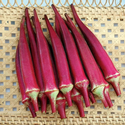 Candle Fire Hybrid Okra Seeds Red-Podded Productive Okra Variety High Germination Garden Seeds heirloom non-gmo seeds