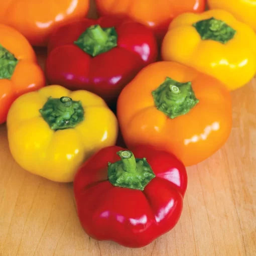 Hungarian Stuffing Blend Pepper Seeds Sweet & Mild Stuffing Peppers Mix High Germination Garden Seeds heirloom non-gmo seeds