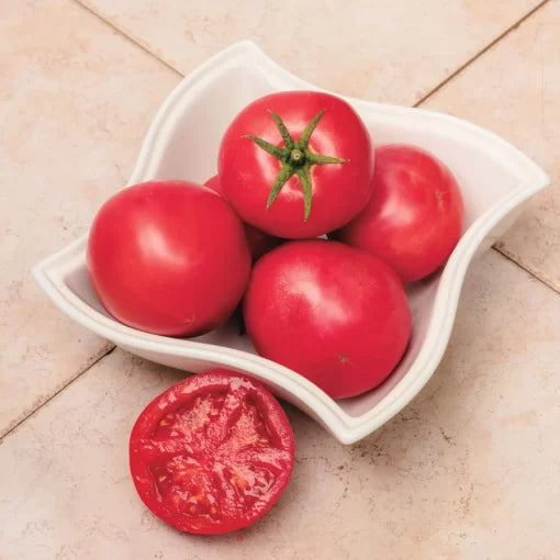 Pink-a-licious Hybrid Tomato Seeds Vibrant Pink Sweet Salad Tomatoes High Germination Garden Seeds heirloom non-gmo seeds