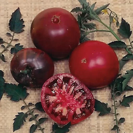 Black Krim Tomato Seeds Dark Smoky Beefsteak Tomatoes High Germination Garden Seeds heirloom non-gmo seeds