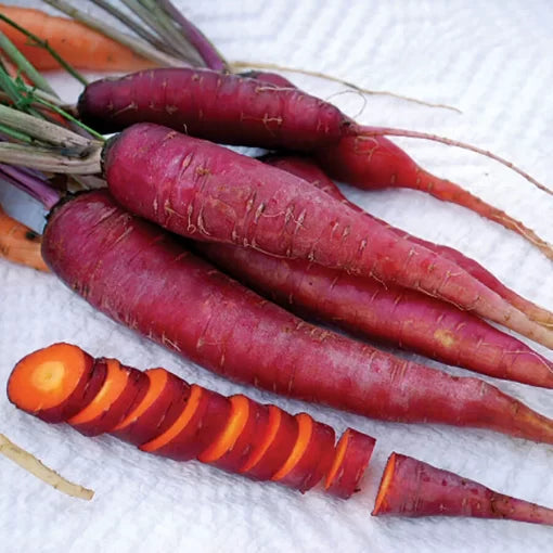 Dragon Purple Carrot Seeds High Germination Garden Seeds heirloom non-gmo seeds