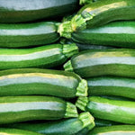Dark Green Zucchini Squash Seeds Classic Glossy Green Zucchini High Germination Garden Seeds heirloom non-gmo seeds