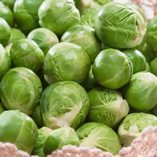 Catskill Brussels Sprouts Seeds High Germination Garden Seeds heirloom non-gmo seeds