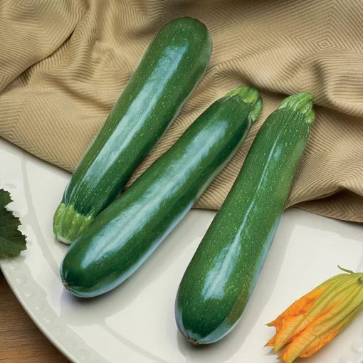 Spineless Perfection Zucchini Seeds High Germination Garden Seeds heirloom non-gmo seeds