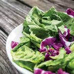 Italian Salad Mix Seeds High Germination Garden Seeds heirloom non-gmo seeds