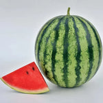 Mambo Hybrid Watermelon Seeds Crisp Juicy Deep-Red Melons High Germination Garden Seeds heirloom non-gmo seeds
