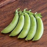 Cascadia Pea Seeds High Germination Garden Seeds heirloom non-gmo seeds