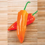 Oranos Pepper Seeds Early Sweet Orange Snack Peppers High Germination Garden Seeds heirloom non-gmo seeds