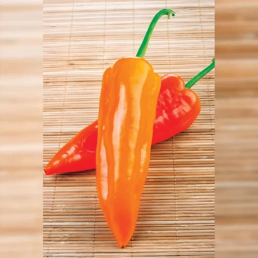 Oranos Pepper Seeds Early Sweet Orange Snack Peppers High Germination Garden Seeds heirloom non-gmo seeds