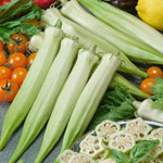 Blondy Okra Seeds Ivory Pods Mild-Tasting Tender Okra High Germination Garden Seeds heirloom non-gmo seeds
