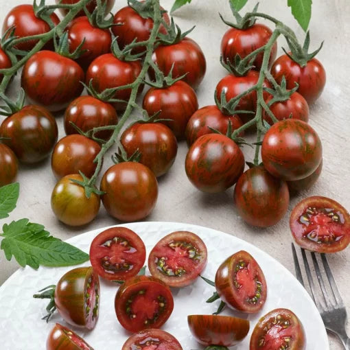 Gum Drop Black F1 Hybrid Cherry Tomato Seeds Dark Purple-Black Cherry Tomatoes High Germination Garden Seeds heirloom non-gmo seeds