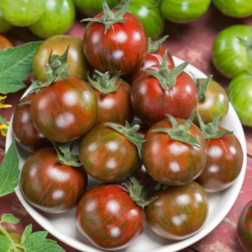 Brown Drop Hybrid Cherry Tomato Seeds High Germination Garden Seeds heirloom non-gmo seeds