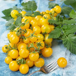 Lemon Drop Hybrid Cherry Tomato Seeds High Germination Garden Seeds heirloom non-gmo seeds