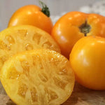 Lemon Boy Plus Hybrid Tomato Seeds Bright Yellow Smooth Tomatoes High Germination Garden Seeds heirloom non-gmo seeds