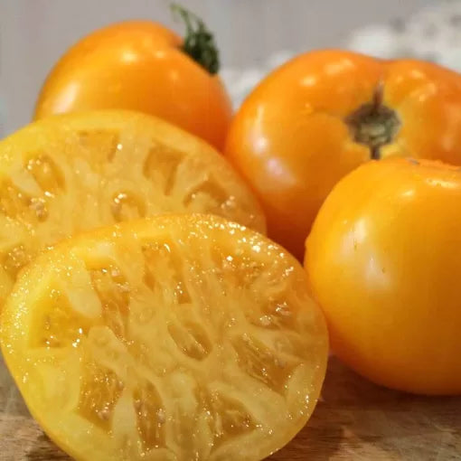 Lemon Boy Plus Hybrid Tomato Seeds Bright Yellow Smooth Tomatoes High Germination Garden Seeds heirloom non-gmo seeds
