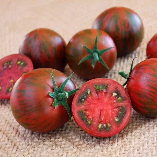 Purple Zebra Tomato Seeds Striped Purple-Red High-Flavor Tomatoes High Germination Garden Seeds heirloom non-gmo seeds