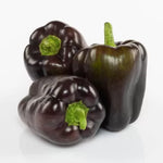 Dragonfly Pepper Seeds High Germination Garden Seeds heirloom non-gmo seeds