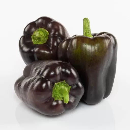 Dragonfly Pepper Seeds High Germination Garden Seeds heirloom non-gmo seeds