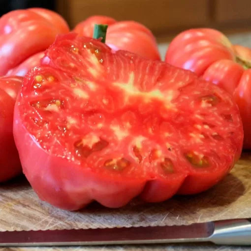 Pink Delicious Tomato Seeds Large Pink Sweet Slicing Tomatoes High Germination Garden Seeds heirloom non-gmo seeds