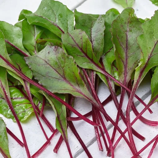 Bull s Blood Beet Seeds Deep-Red Roots with Edible Leaves High Germination Garden Seeds heirloom non-gmo seeds