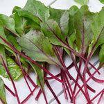 Bull s Blood Beet Seeds Deep-Red Roots with Edible Leaves High Germination Garden Seeds heirloom non-gmo seeds