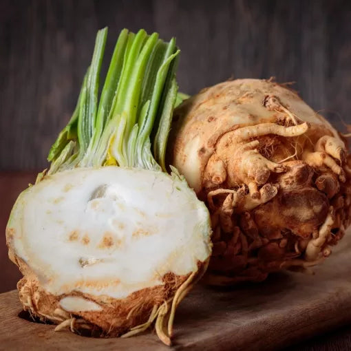Mars Celeriac Seeds High Germination Garden Seeds heirloom non-gmo seeds