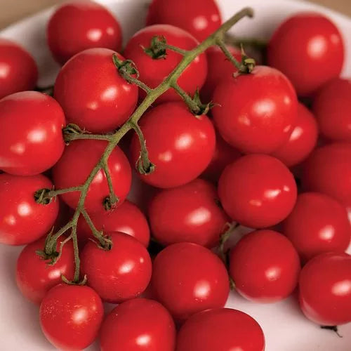 Junior Whopper Red Hybrid Tomato Seeds Heavy-Yield Red Garden Tomatoes High Germination Garden Seeds heirloom non-gmo seeds