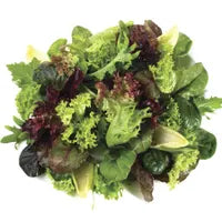 Lettuce Seeds (Organic) - Mesclun Mix