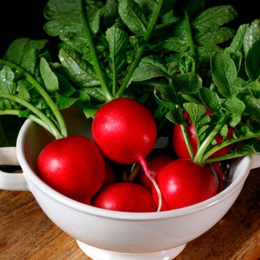 Crunchy Delight Radish Seeds -Growing Crisp Red Radishes High Germination Garden Seeds heirloom non-gmo seeds