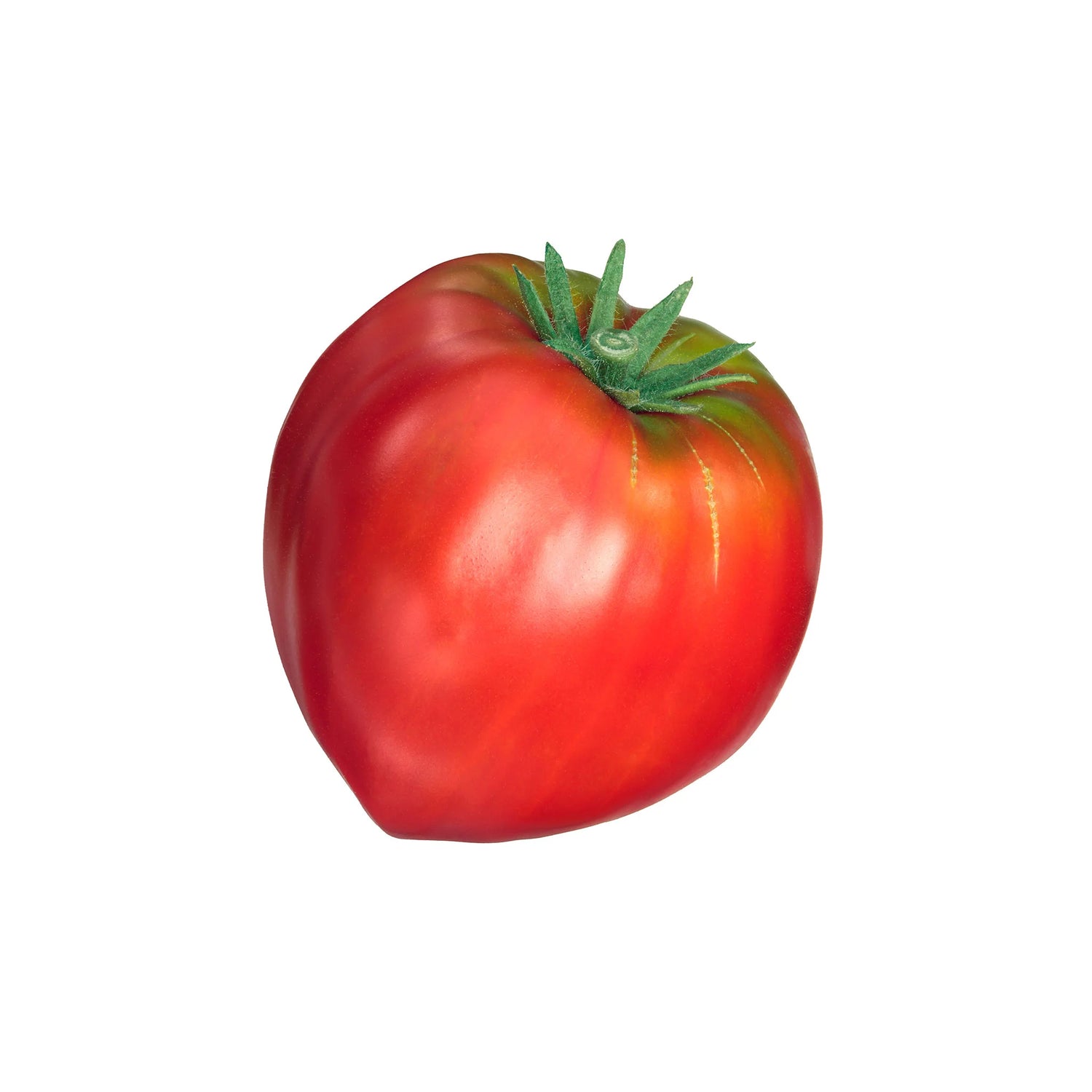 Oxheart Tomato Seeds for Planting