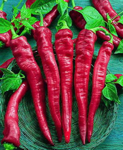 fresh red cayenne peppers in basket ready for cooking

