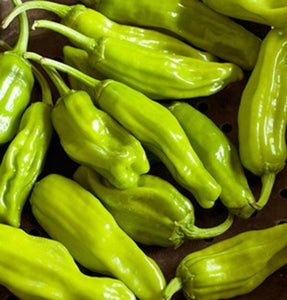jar of pickled pepperoncini peppers

