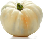 Heirloom Beefsteak Tomato Solanum lycopersicum seeds for planting in salad patch