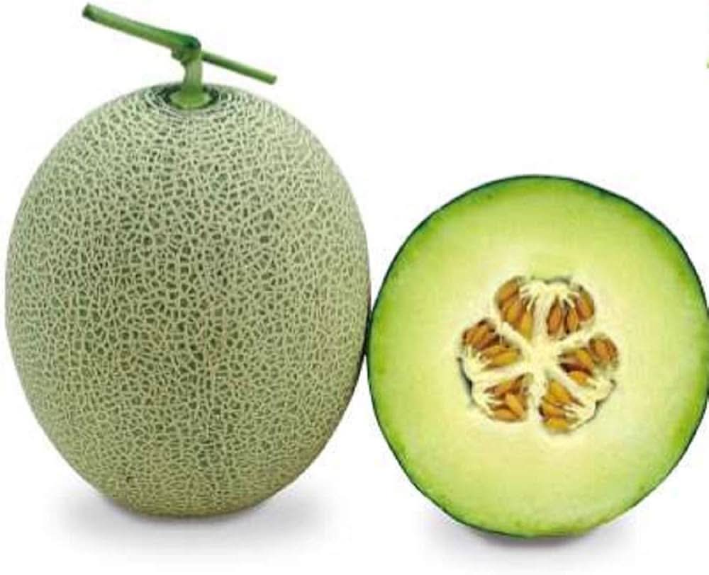 Green muskmelon fruit seeds