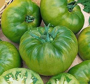 FD Green Agate Tomato Seeds Pieces