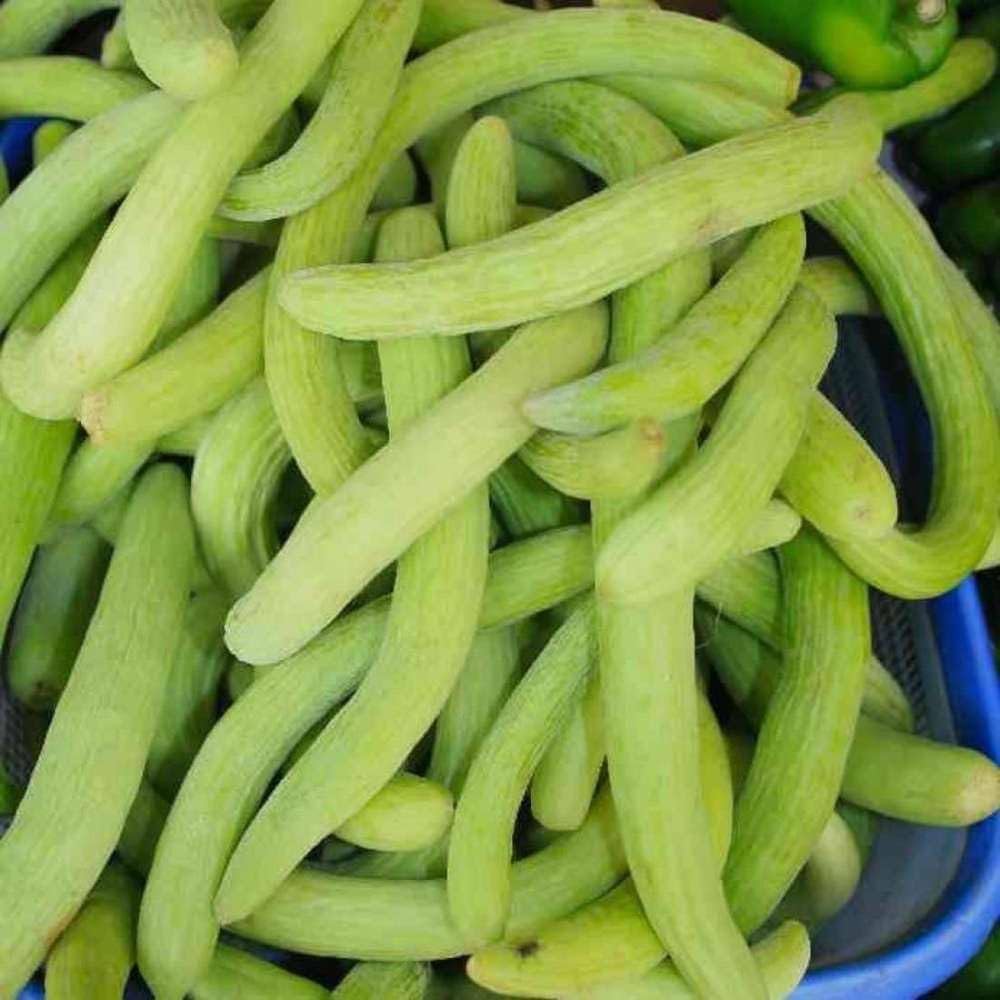 Long Melon Kakdi F1 – Heirloom, Non-GMO, High Germination Organic Garden Seeds