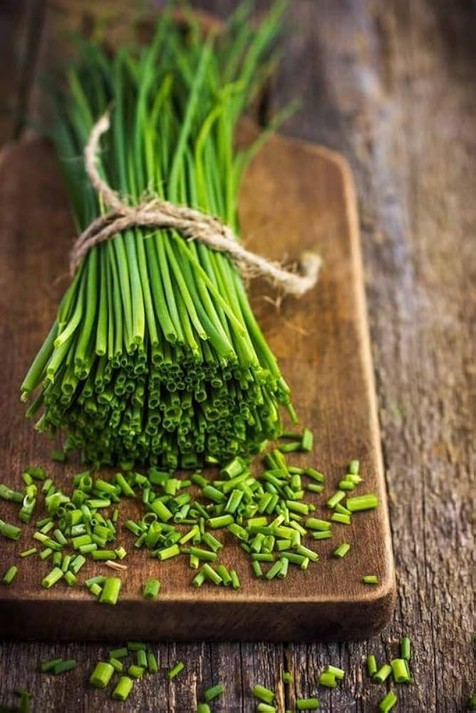 Chives Bohemia Herb Seeds for Planting Perennial Garden Seeds