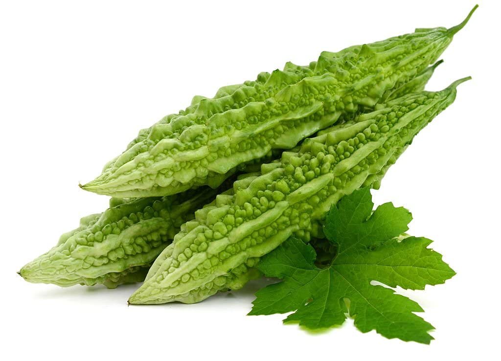 Bitter Gourd Vegetable Momordica charantia for planting in vegetable patch and home garden