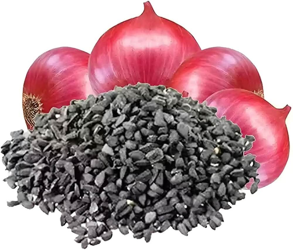 Onion Allium cepa vegetable seeds for kitchen garden and home growing