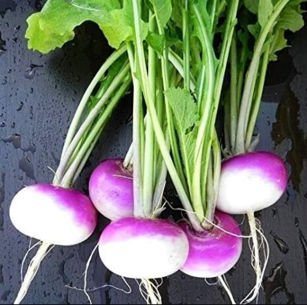 Royal Crown Hybrid Turnip Seeds Heirloom Non-GMO High Germination Organic Garden Seeds
