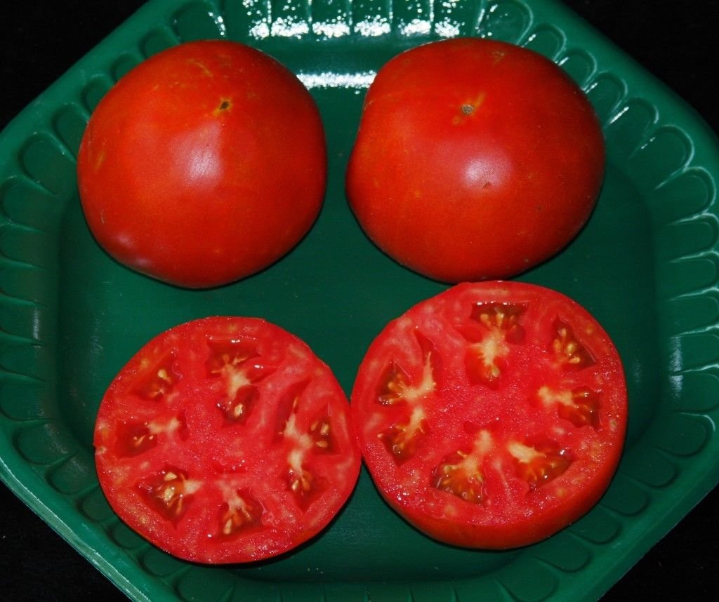 Celebrity Hybrid Tomato Seeds – Bulk Seeds