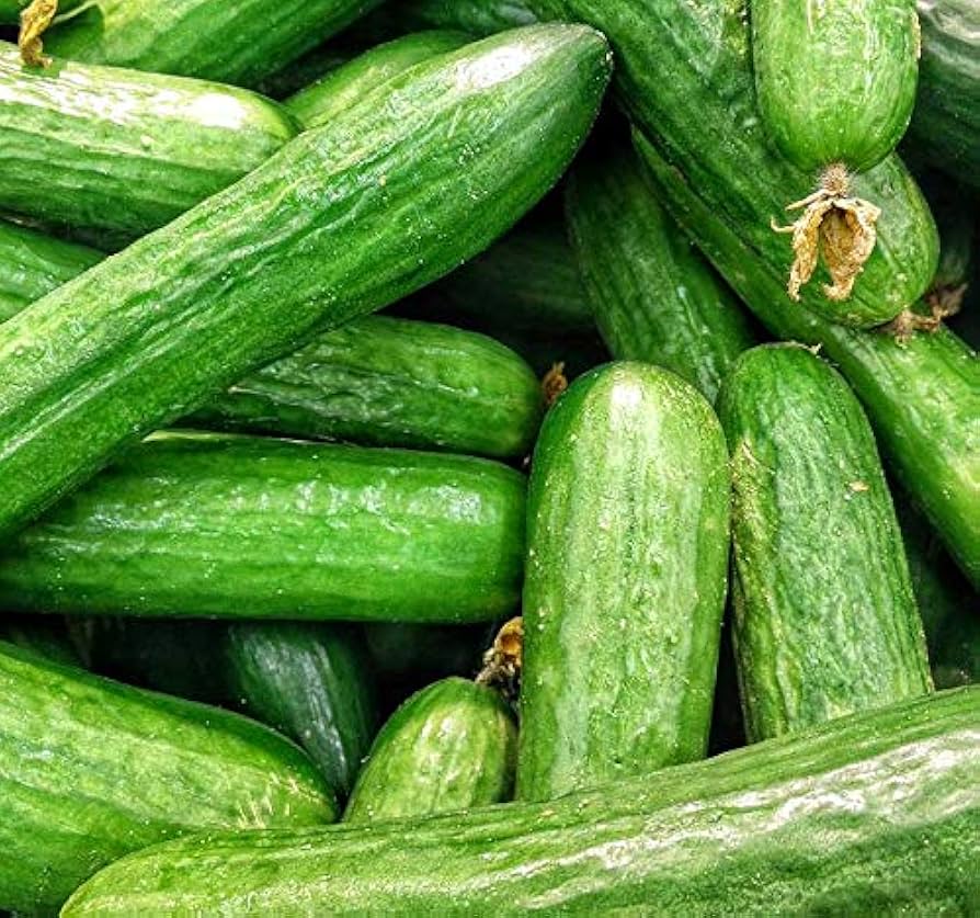 Beit Alpha Cucumber Seeds – Seeds