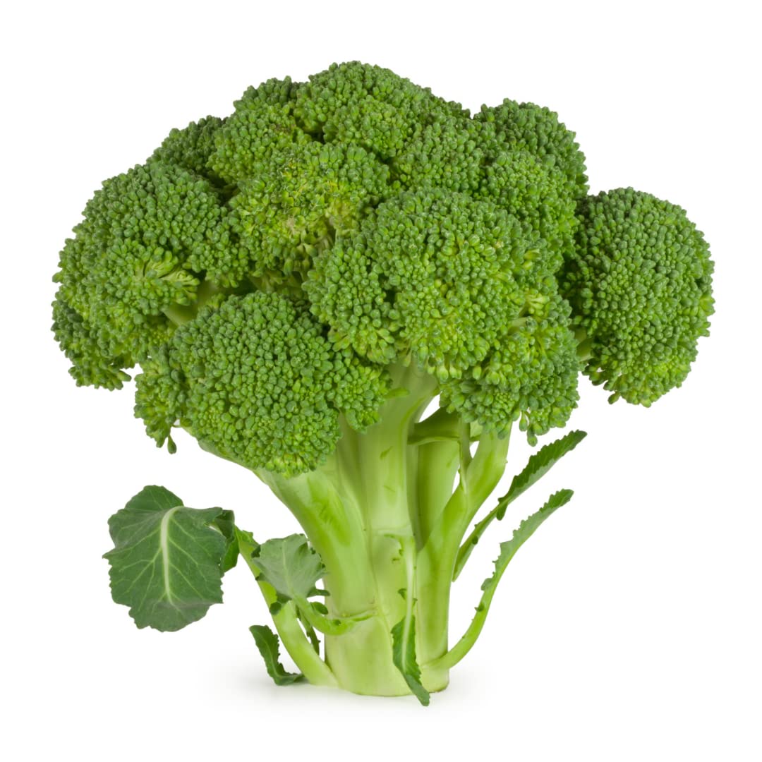 Calabrese broccoli (Italian heirloom) seeds for vegetable patch and home garden