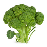 Calabrese broccoli (Italian heirloom) seeds for vegetable patch and home garden