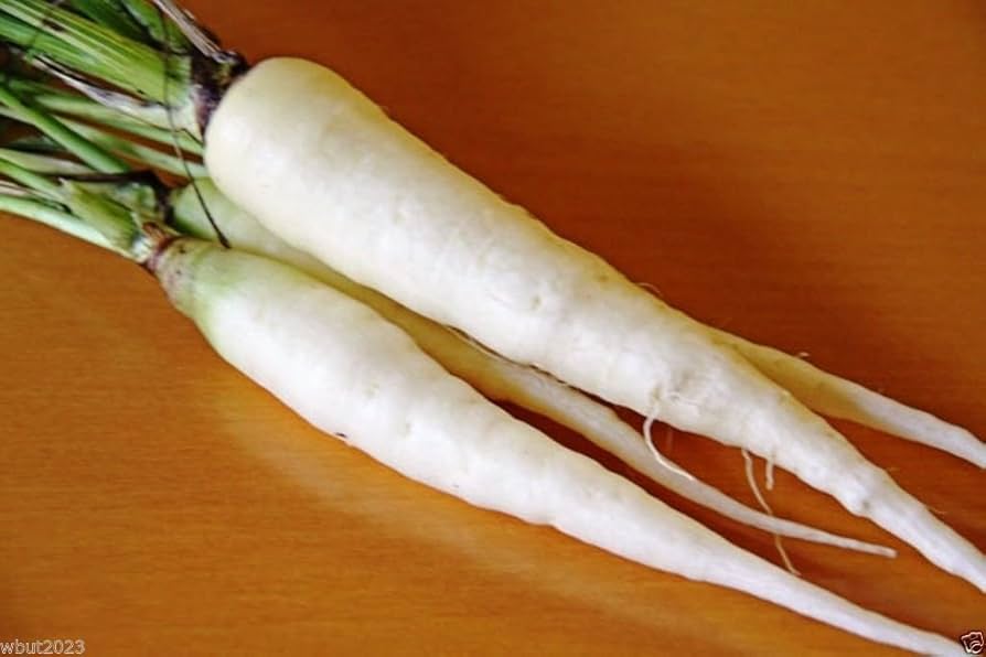 Lunar White Carrot Seeds (Daucus carota) – Heirloom Seeds