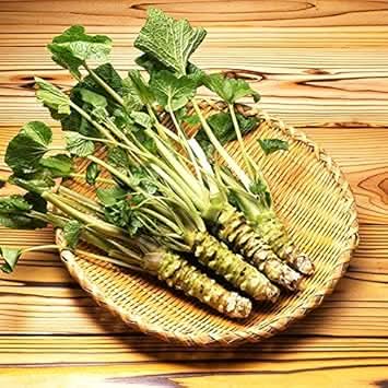 Green Horseradish Seeds for Planting