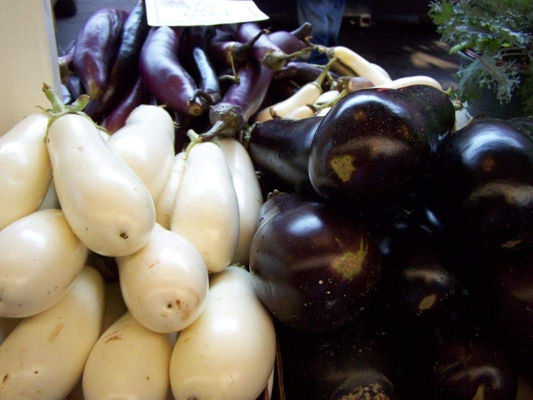 White Star Hybrid Eggplant Seeds | Long White Mild Asian Eggplants – Heirloom, Non-GMO, High Germination Organic Garden Seeds