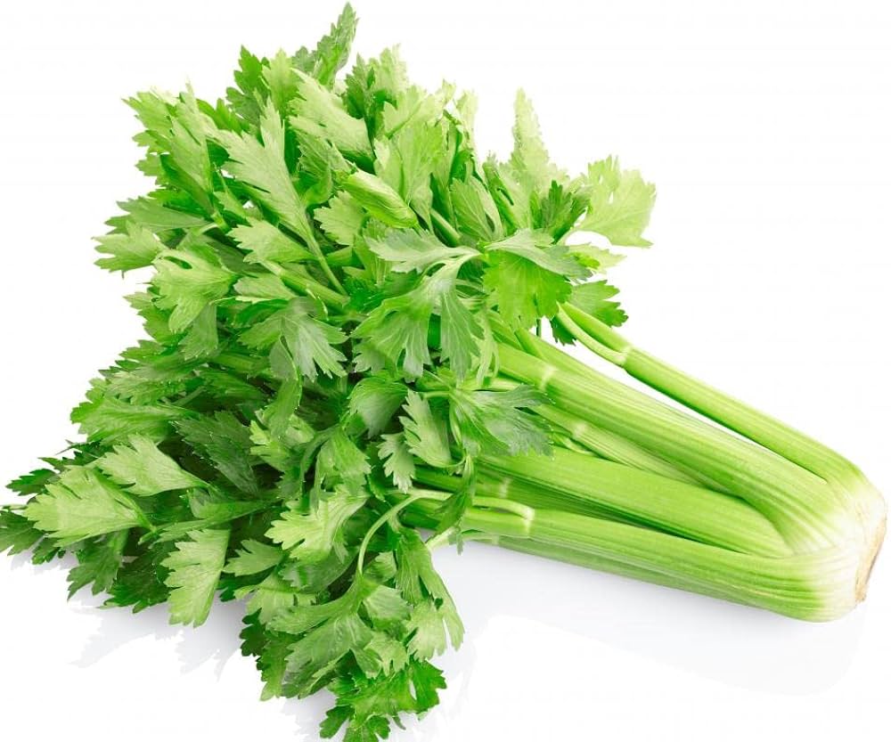 Utah Celery Seeds for Planting