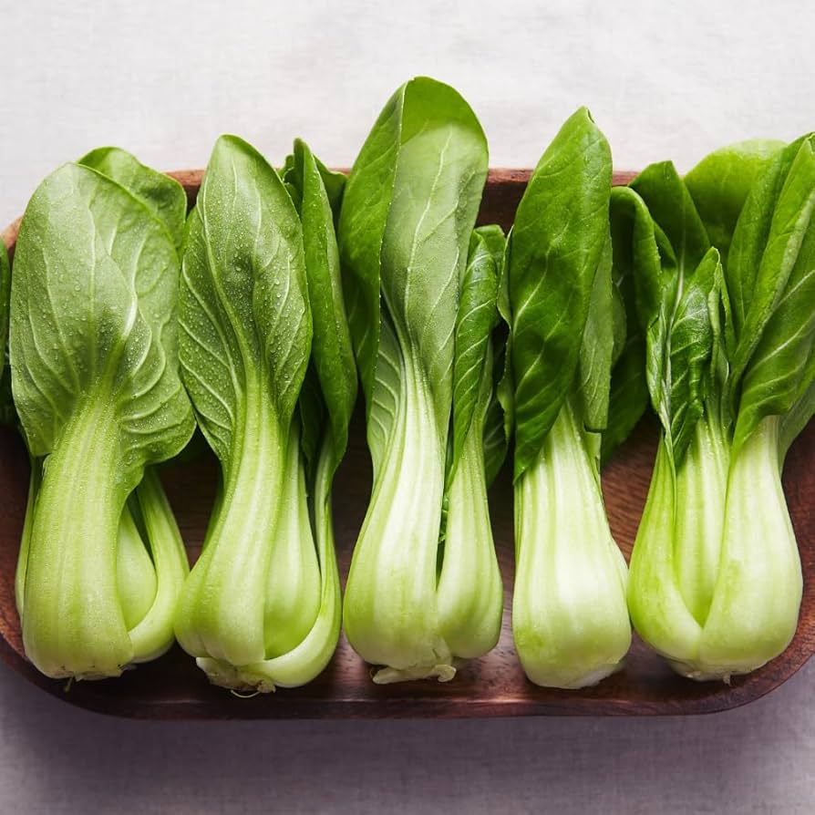 Canton Bok Choy (Pak Choi) Brassica rapa Seeds for Planting